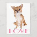 Zoek naar lang haar briefkaarten Chihuahua