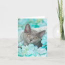 Recherche de chat gris et blanc vœux cartes Pour elle