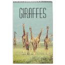Zoek naar giraffen kalenders Safari