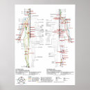 Recherche de médecine posters Humain