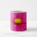 Recherche de fleur cosmos tasses Rose