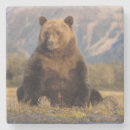 Zoek naar grizzly onderzetters Alaska