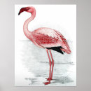 Recherche de oiseau sauvage posters Élégant