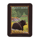 Recherche de foret magnets Ours
