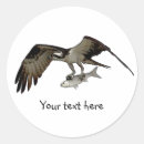 Recherche de balbuzard autocollants Oiseau de proie