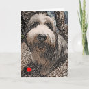 Zoek naar beardie kaarten Honden