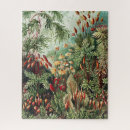 Recherche de puzzles Illustration