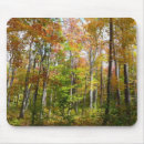 Zoek naar photography muismatten Herfst
