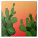 Zoek naar cactus tegels Arizona