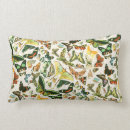 Zoek naar papillon kussens Insecten