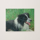 Zoek naar border collie puzzels Zwart wit