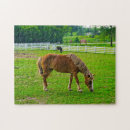 Recherche de chevaux puzzles Nature