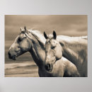 Recherche de alberta posters Cheval
