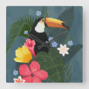 Recherche de nature horloges Tropical