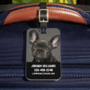 Recherche de frenchie bagages étiquettes Animal