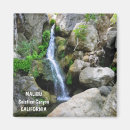 Zoek naar malibu magneten Natuur