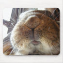 Recherche de lapin mignon tapis souris Doux
