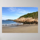 Recherche de mouettes posters Plage de sable
