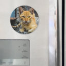 Recherche de grande oreille magnets Jeune