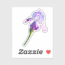Recherche de iris blanc Anniversaire de février
