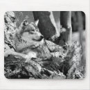 Recherche de loup sauvage tapis souris Animal