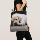 Recherche de laboratoire jaune sacs Photographie