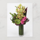 Zoek naar anthuriums briefkaarten Natuur