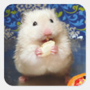Recherche de hamsters autocollants Rongeur