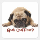 Recherche de face on a stick Carlin