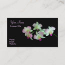 Recherche de phalaenopsis cartes visite Blanc