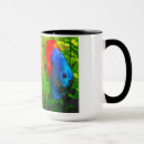 Recherche de aquariums tasses Poissons tropicaux