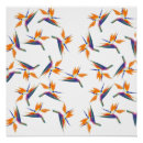 Recherche de oiseaux fleurs posters Oiseau de paradis