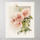 Recherche de chrysanthème posters Mamans