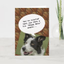 Zoek naar dierenvriend kaarten Grappig