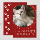 Recherche de chaton blanc vœux cartes Empreinte de patte