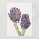 Recherche de artichoke cartes postales Légumes