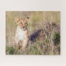 Zoek naar grote katten puzzels Baby