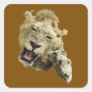 Zoek naar dier poten stickers Klauwen
