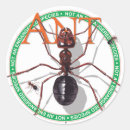 Zoek naar mieren stickers Insecten