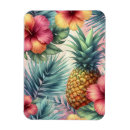 Recherche de ananas magnets Hibiscus