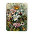 Recherche de orchidées magnets Nature