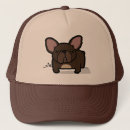 Recherche de frenchie trucker casquettes Chiot