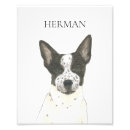 Recherche de petit chien posters Mère de chien