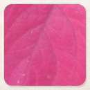 Recherche de macro tissue papier Photographie de la nature
