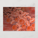 Recherche de artères cartes postales Détail