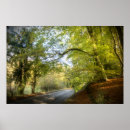 Recherche de woodland posters Boisé