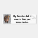Recherche de labradors voiture autocollants Chocolat