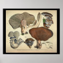 Zoek naar blauw en bruin posters Vintage