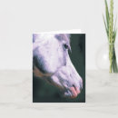 Recherche de élevage photographie Chevaux