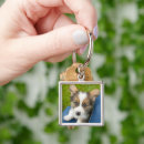 Recherche de pembroke welsh corgi porteclés Queen elizabeth's